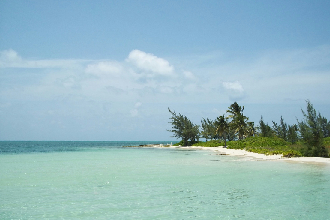 Cedar Mobile goes even more global