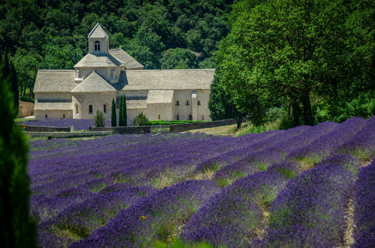 France Travel Tips 2026: Visa, Currency, Power Adaptors, Weather & Essential Travel Advice