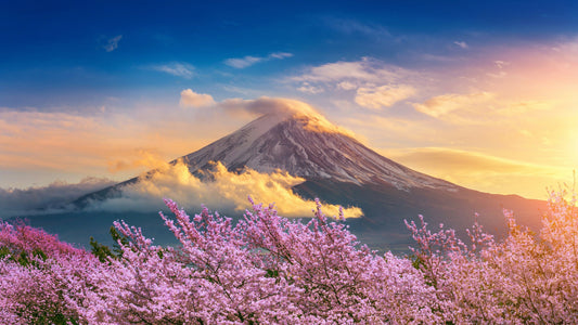 Japan Travel Tips 2026: Visa, Currency, Power Adaptors, Weather & Essential Travel Advice