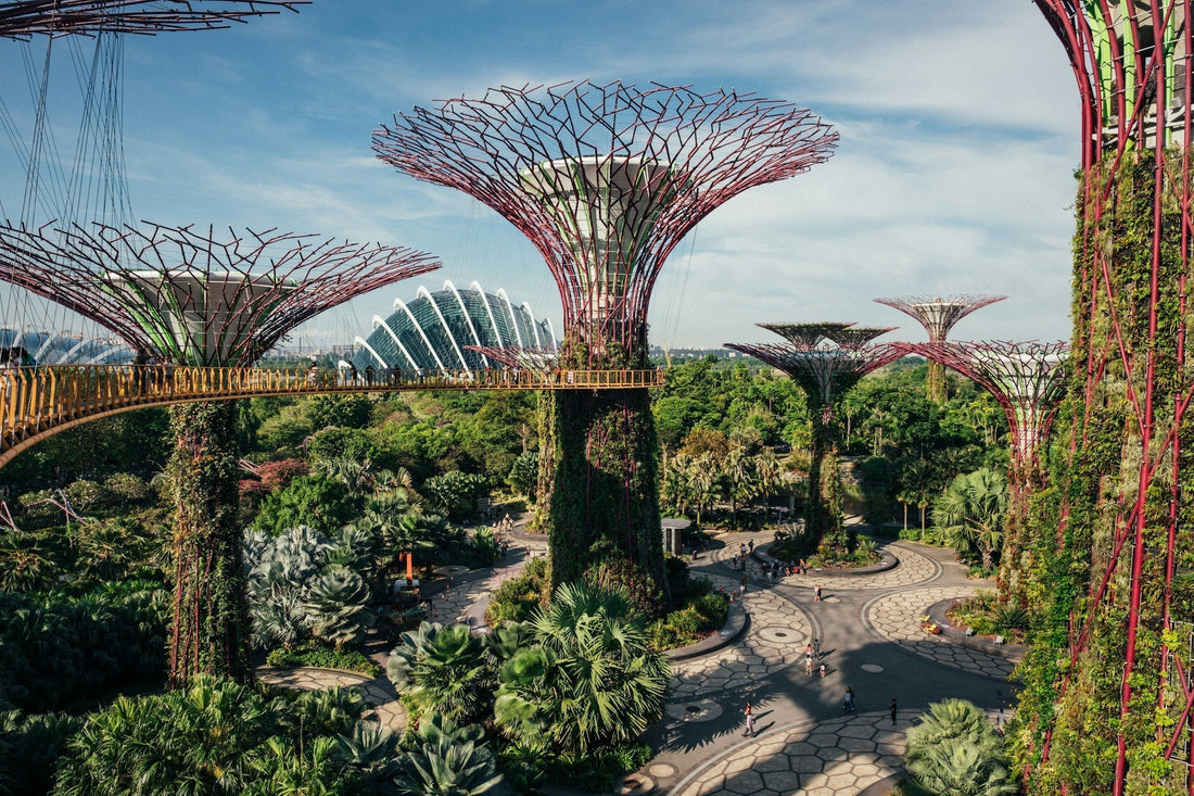 Singapore Travel Tips 2026: Visa, Currency, Power Adaptors, Weather & Essential Travel Advice