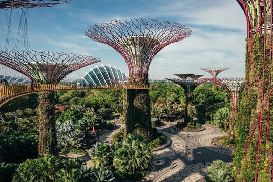 Singapore Travel Tips 2026: Visa, Currency, Power Adaptors, Weather & Essential Travel Advice