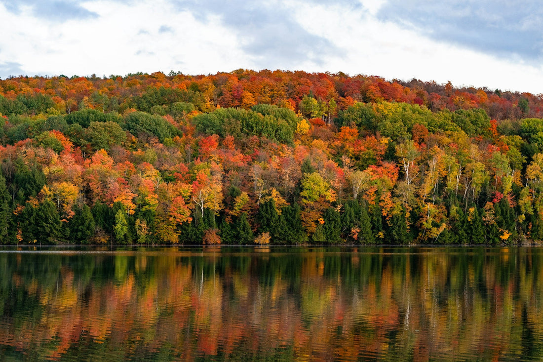 New England USA Fall Foliage Road Trip: The Ultimate Autumn Adventure