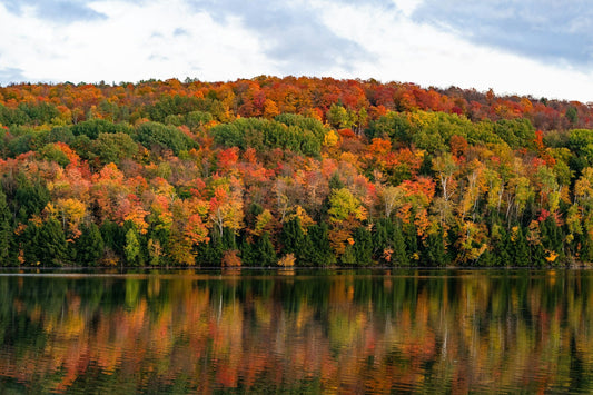 New England USA Fall Foliage Road Trip: The Ultimate Autumn Adventure