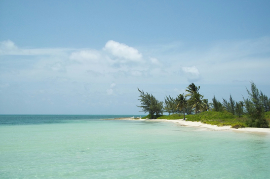 Cedar Mobile goes even more global